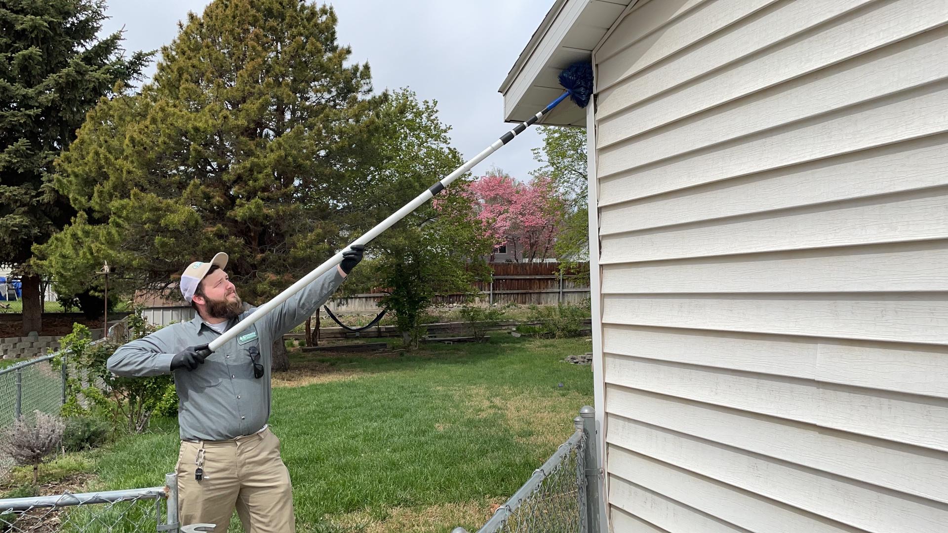 Home [b.barnespestcontrolbend.co]